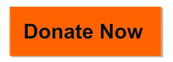donate for ngo