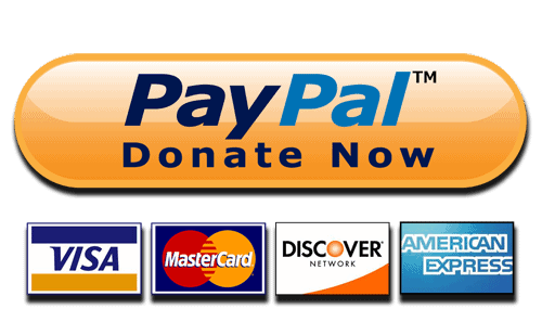 donate for ngo through paypal